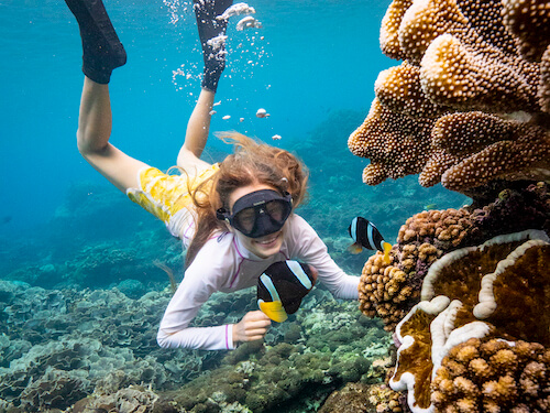 christmas island swell lodge photo tour example 21